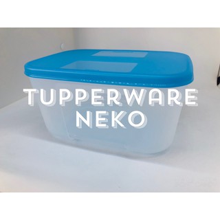 Hộp trữ đông Tupper ware dung tích 650ml
