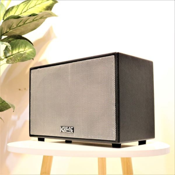 LOA KÉO ACNOS CS200 PU