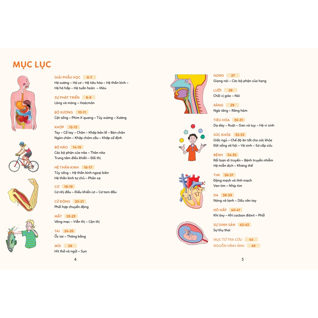 Sách - Bách khoa tri thức - Khám phá cơ thể người