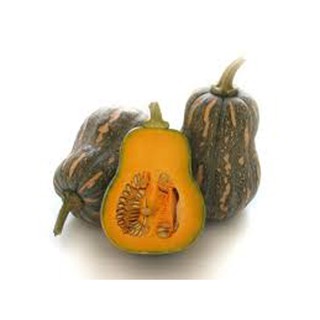 10 HẠT GIỐNG BÍ ĐỎ HẠT ĐẬU