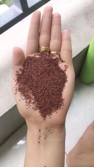 Ngũ hoa hạt handmade 100g hạt sạch đẹp | Thế Giới Skin Care