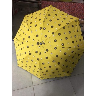 Ô gấu kute