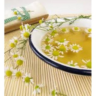 Nước hoa cúc La Mã nguyên chất (Chamomile Hydrosol) 100ml