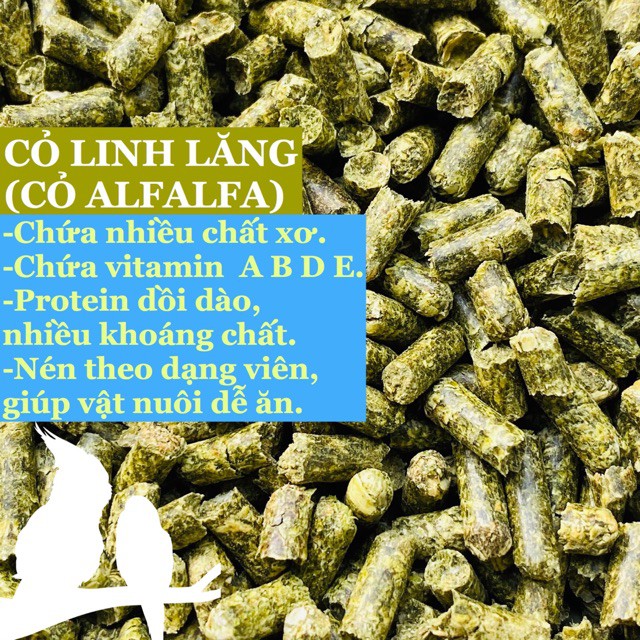 Cỏ Linh Lăng ( Cỏ Alfalfa ) cho Thỏ , Chuột lang , Hamster , nhím ....