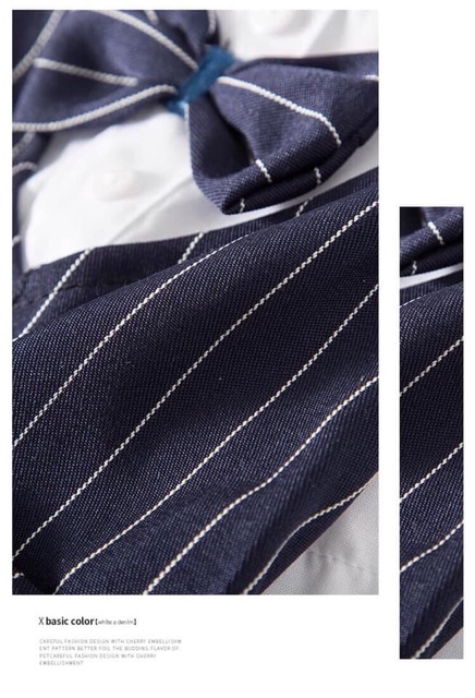 Áo vest cực ngầu cho thú cưng