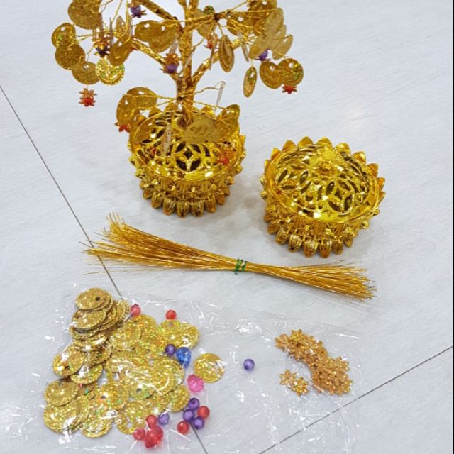 Cây tiền vàng.