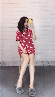 Bộ lụa tơ