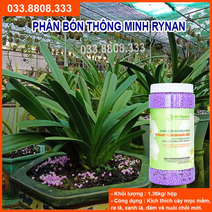Phân Thông Minh 31-8-8 (Lọ 1.36 kg ) chuyên dùng kích thích cây nảy mầm, dâm chồi cho hoa lan cây cảnh