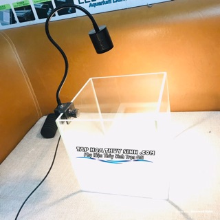 LED RỌI 5W cho hồ biotop