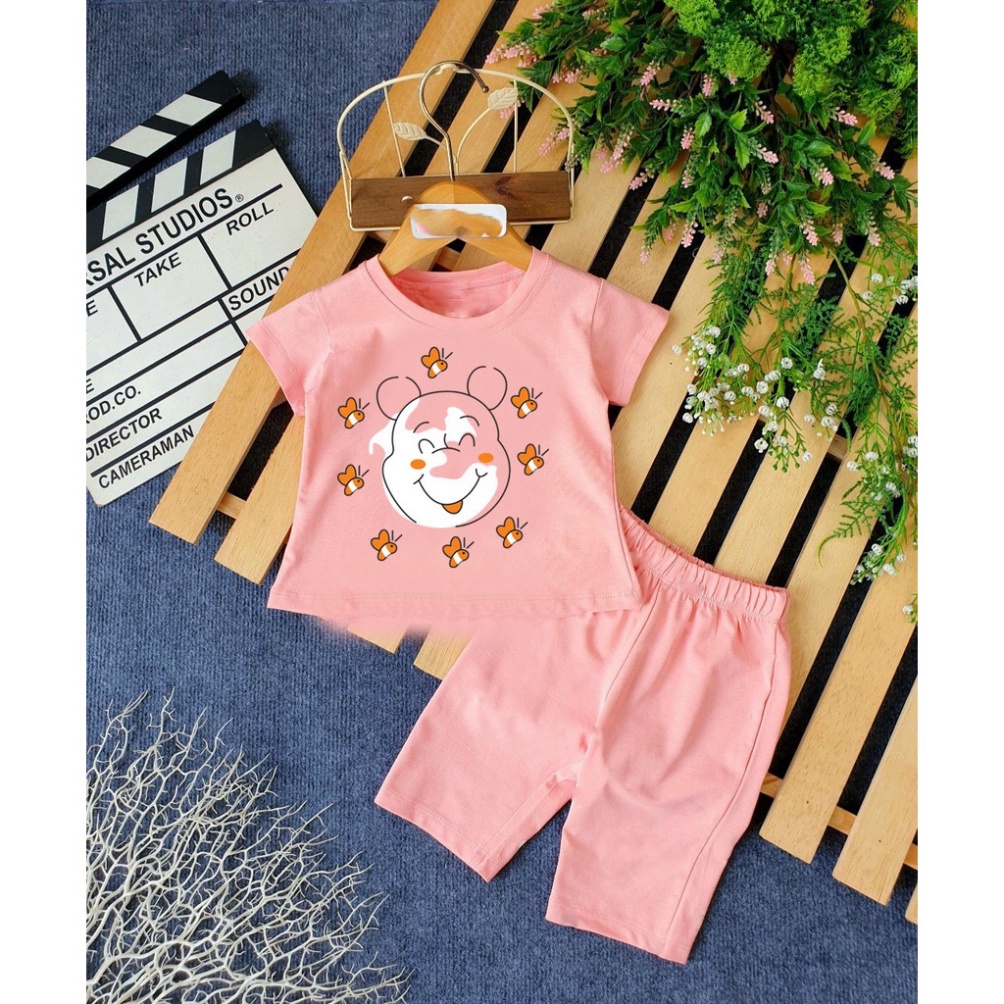 ( Khuyến mãi ) Combo 6 Bộ bé gái hình con gấu va đàn ong xinh đẹp cho bé gái cho bé từ 6-28kg .BDBG50. .