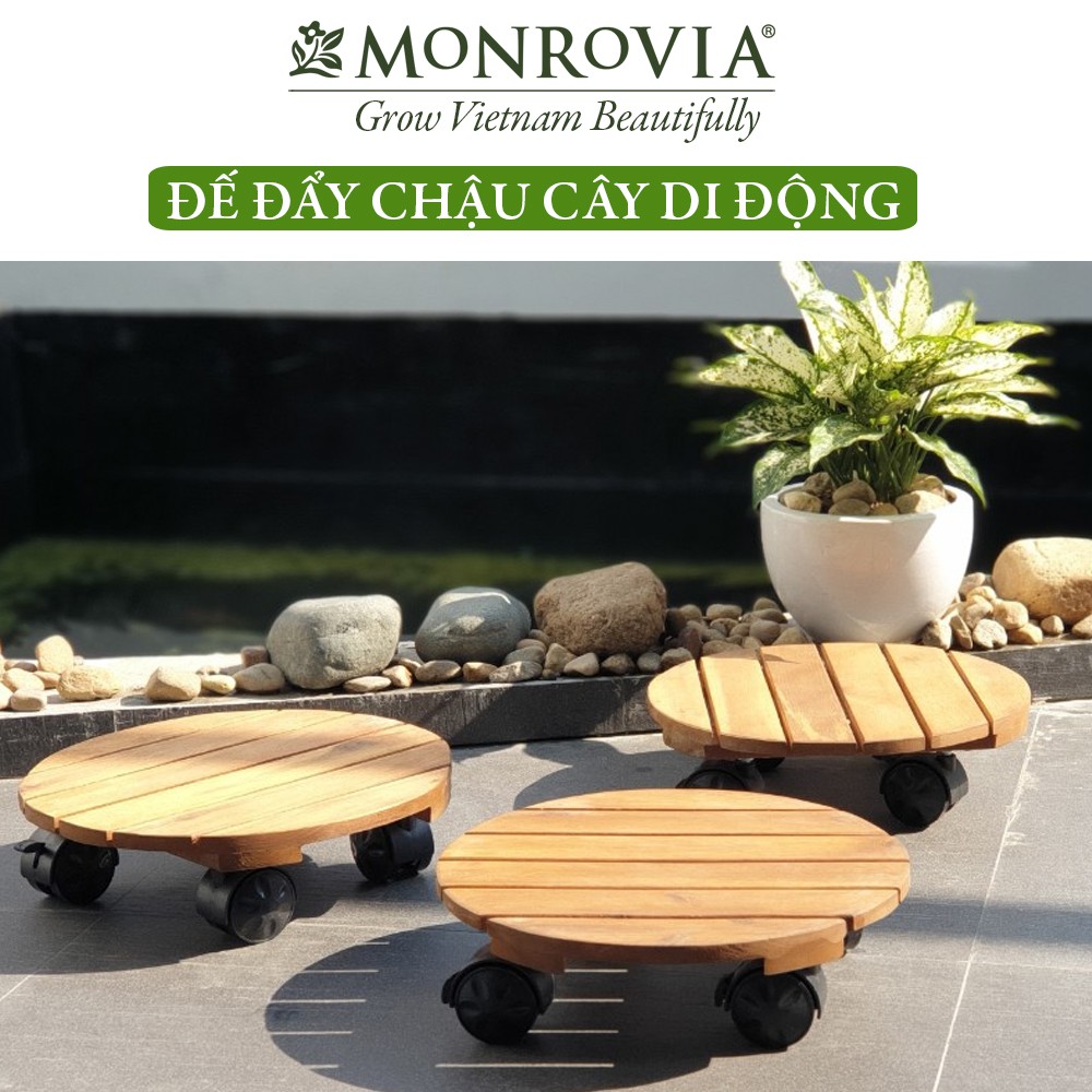 Đế lót để chậu cây có bánh xe MONROVIA làm giá đỡ kệ hoa cây cảnh, màu vàng đường kính 30 cm, tải 80kg