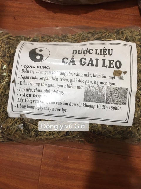 Cao khô rễ cà gai leo ( loại đặc biệt )