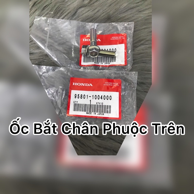 Ốc bắt phuộc sau Trên 10ly40 : Sh Ý , Ps , Dylan ( Giá 1 con )