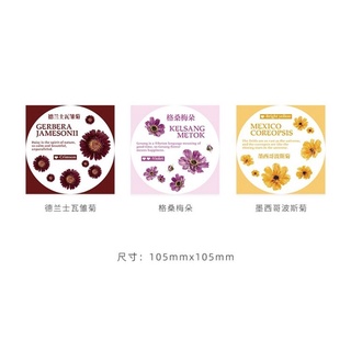 Sticker bông hoa và chữ