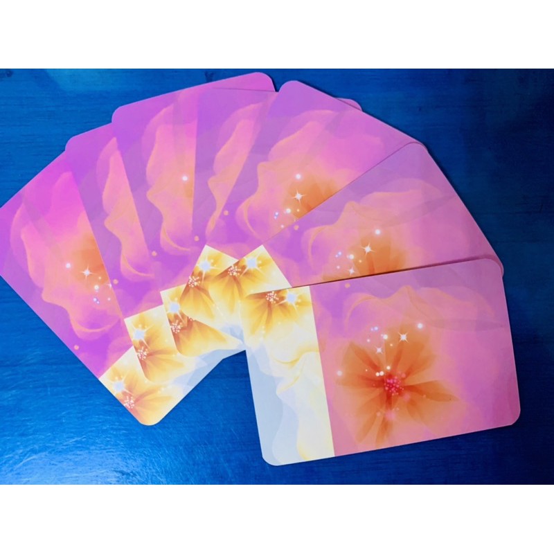 Card hoa dâm bụt