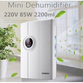 Máy hút ẩm không khí Yangzi công suất cao CS-10F