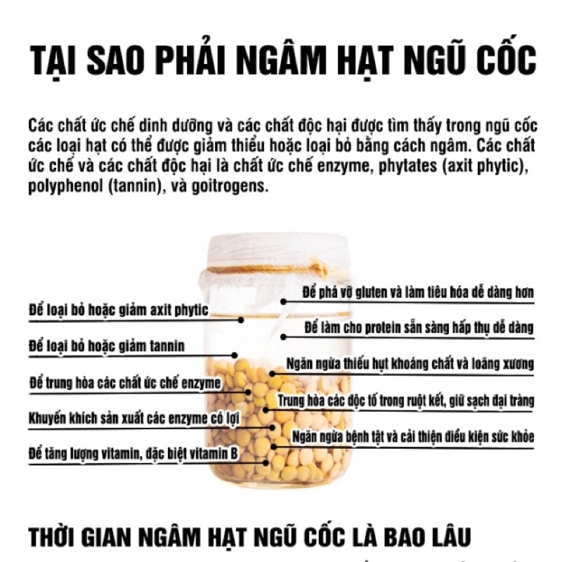 9 loại hạt hữu cơ cho bé ăn dặm