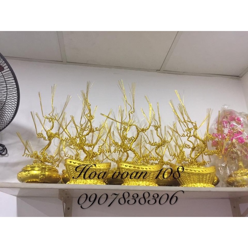 Gốc cây thỏi vàng cao 55cm