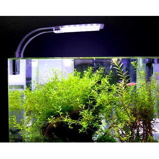 Đèn led siêu mỏng X5 cho bể cá cảnh, thủy sinh 10W cho bể 25-50CM