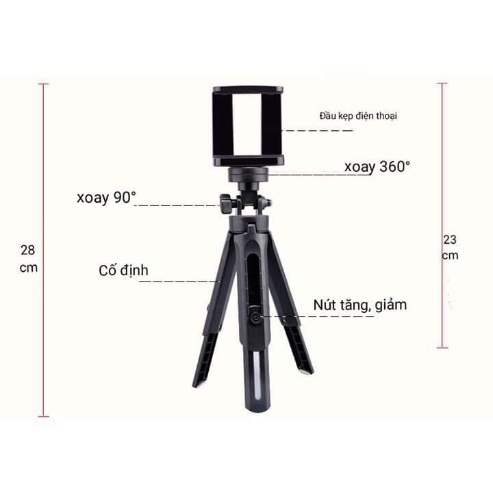 Tripod Support - Gậy chụp hình 3 chân