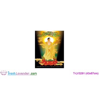 [T-LV3291]Tranh thêu chữ thập Tôn giáo Dược Sư Lưu Ly Quang Vương Phật (43x67cm)