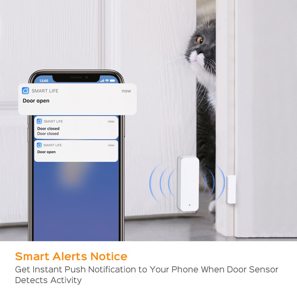 Chuông Cửa Thông Minh Smatrul Báo Động Chống Trộm Không Dây Tương Thích Với Tuya Smart Life Và Alexa Google