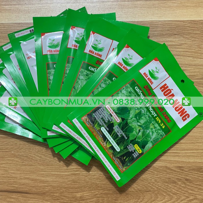 Hạt Giống Cải Ngọt HN-24 -[&gt;97% Nảy Mầm] - Giống Vàng Chất Lượng