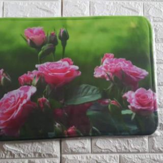 Thảm lau chân siêu thấm 3d giá sỉ rẻ