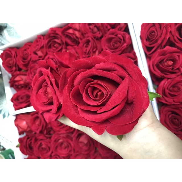 Sỉ đầu bông hồng lụa phủ nhung cao cấp