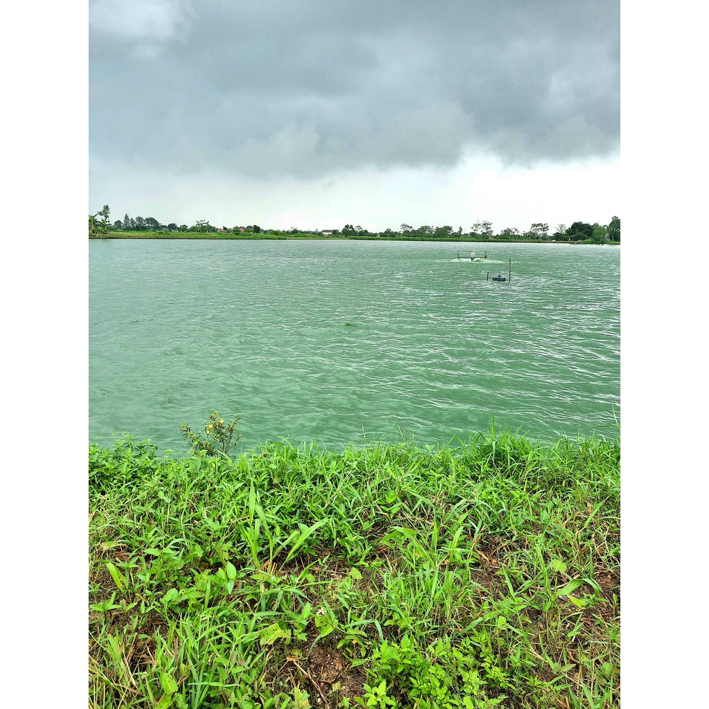 Men Vi Sinh Đáy BZT PRO  Xử Lý Đáy Ao Nuôi Hiệu Qủa Gói 500gr