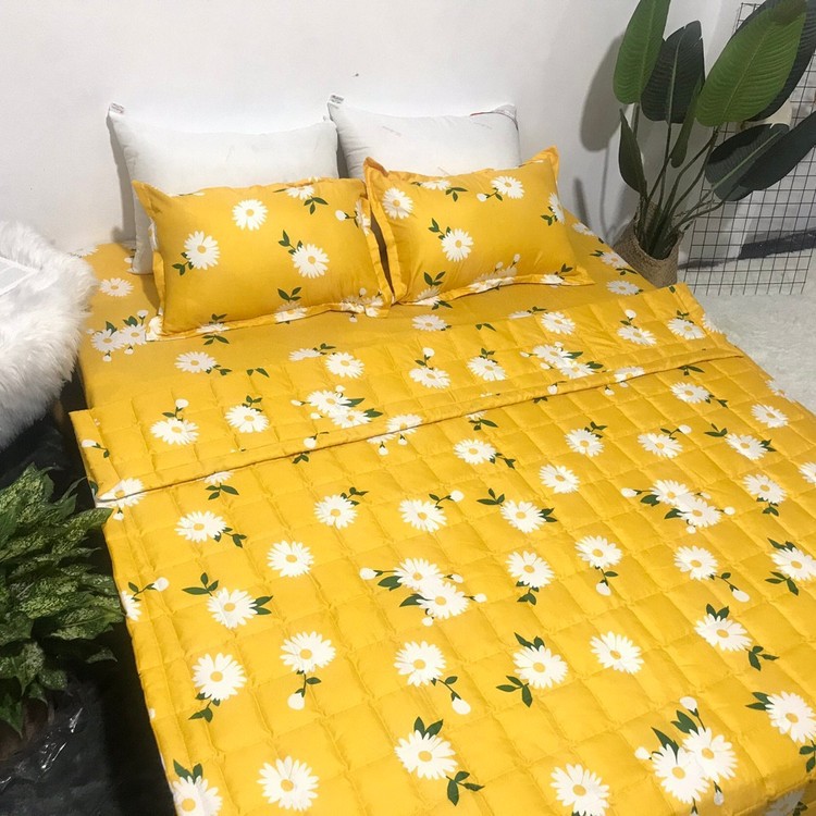 Vỏ chăn ga gối m6 m8 chất cotton poly nhiều mẫu