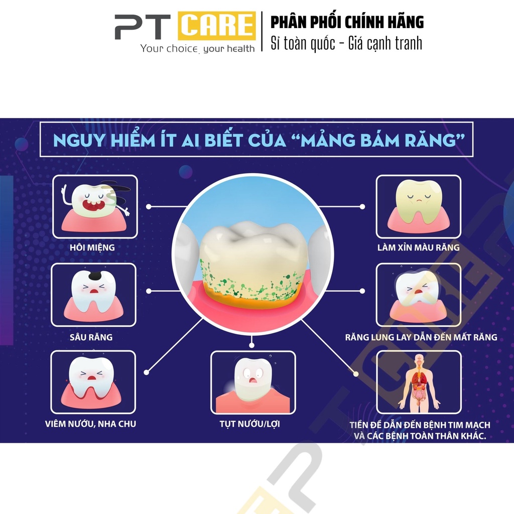 PT CARE | Combo Nước Súc Miệng Và Kem Đánh Răng Kin Gingival 250ml/75ml Ngăn Ngừa Viêm Nướu