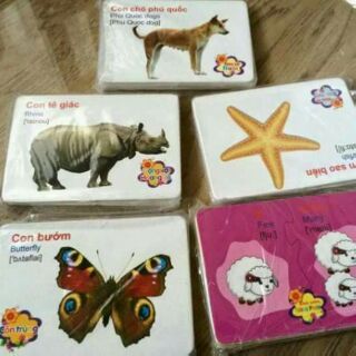 Bộ thẻ flash card 16 chủ đề
