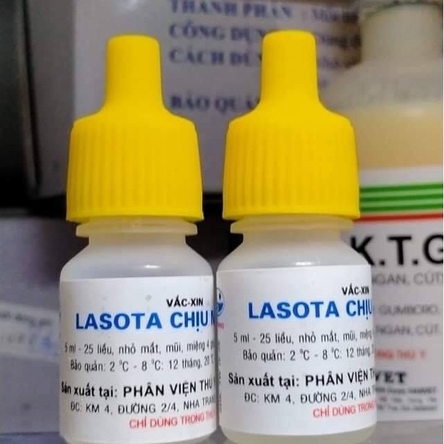 [ Hàng Chính Hãng] LASOTA chịu nhiệt  lọ 25 liều ( dịch tả gà)