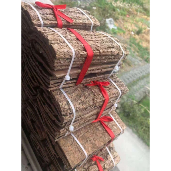Đỗ Trọng  To, Dày Hàng Thượng Phẩm