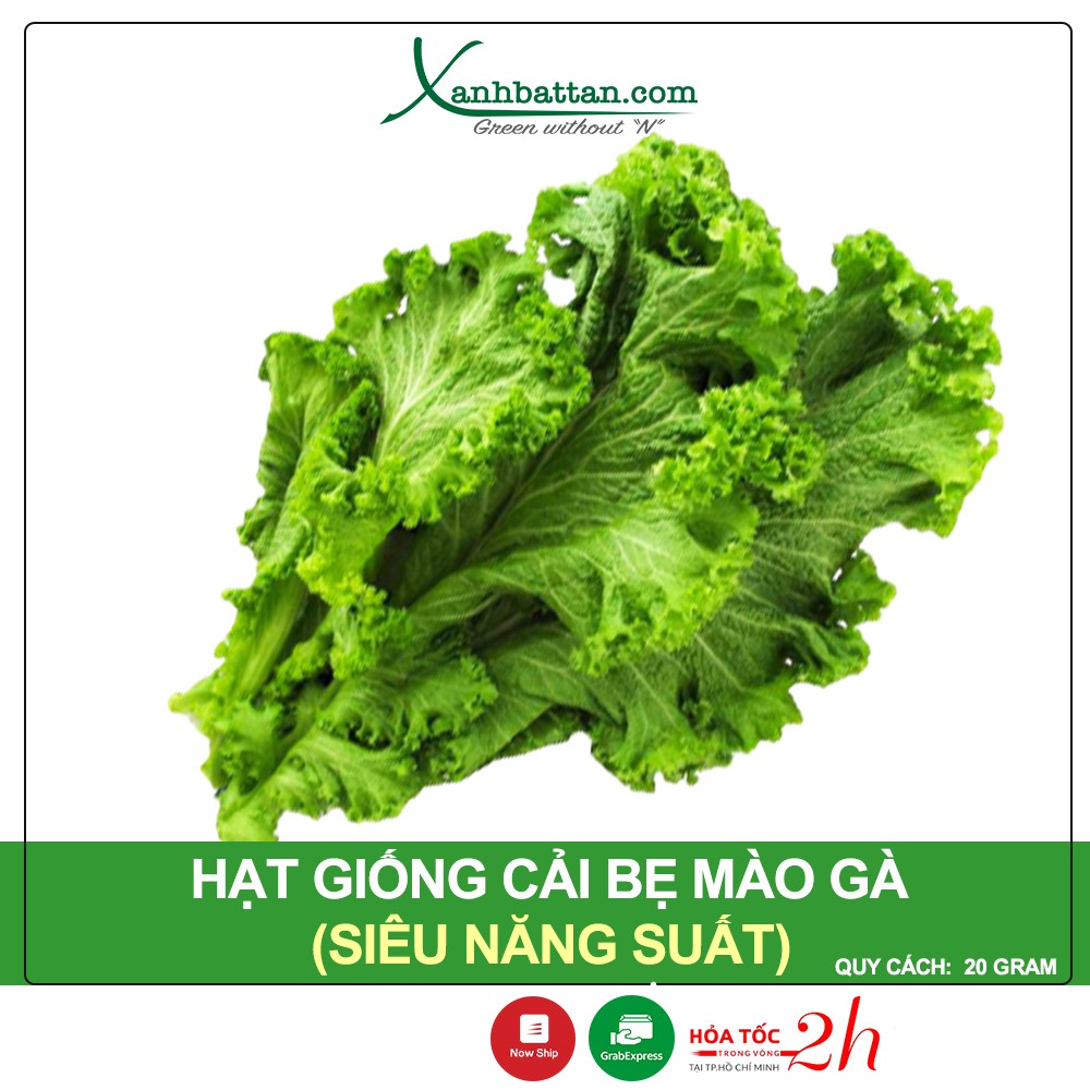 Hạt Giống Cải Bẹ Mào Gà Phú Nông Gói 20 Gram