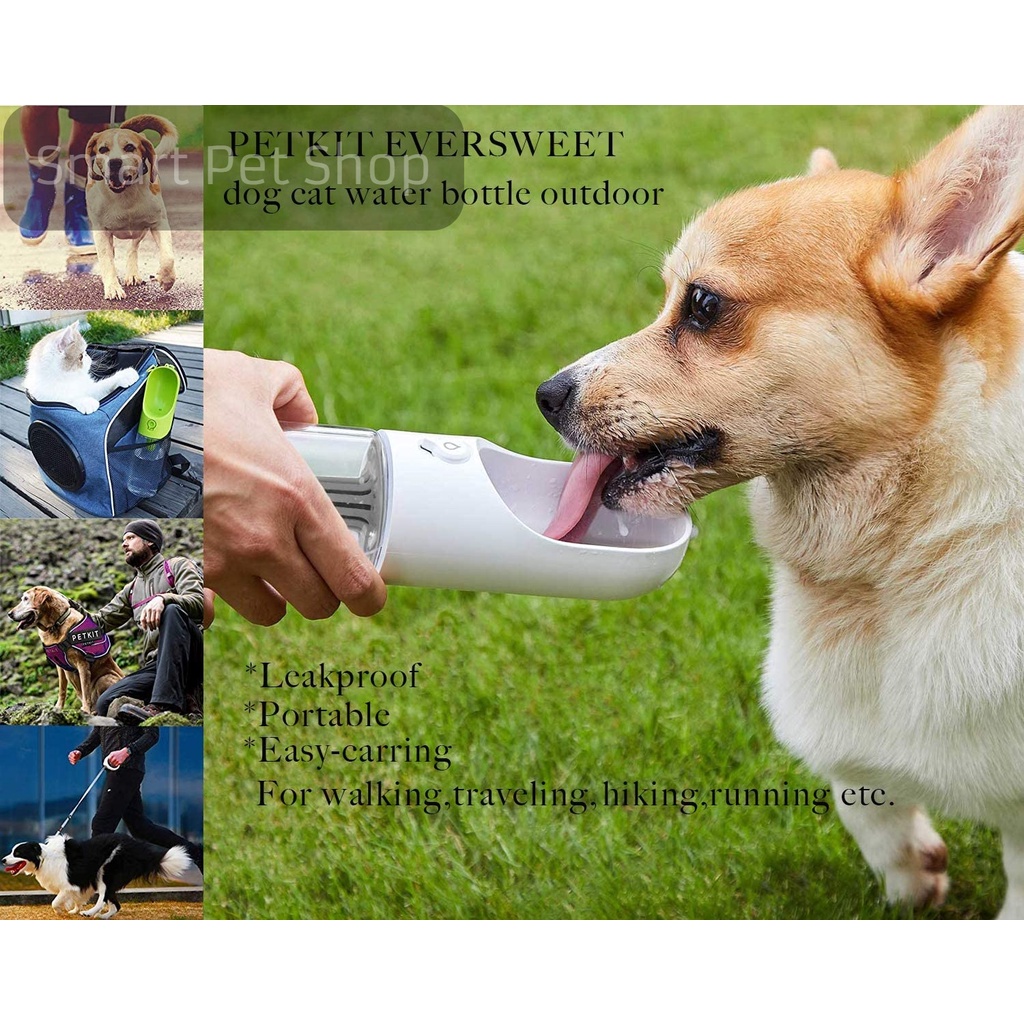Bình nước PETKIT cầm tay thông minh Eversweet Travel