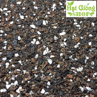 Đất trồng Sen đá,Xương rồng ( túi 1-kg )