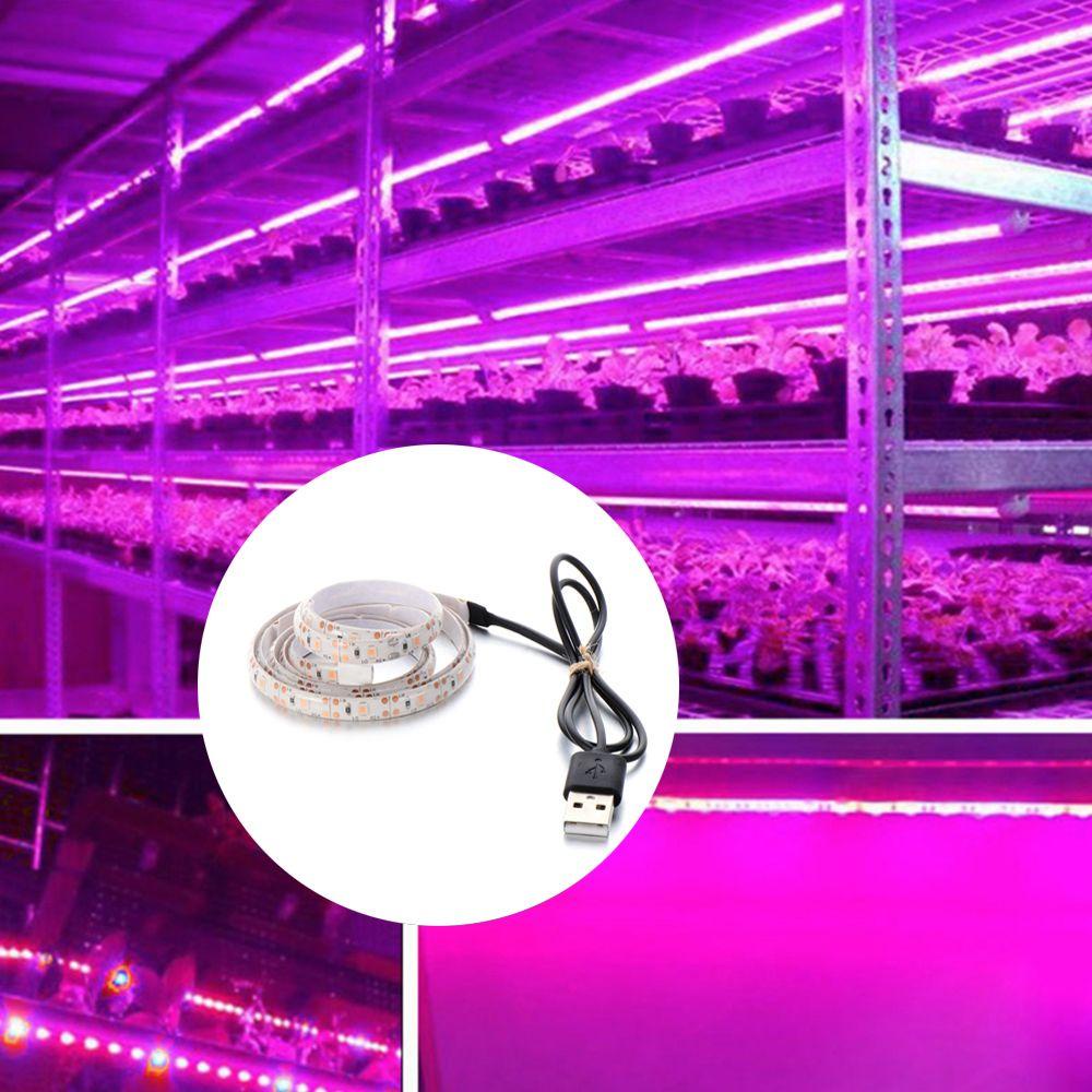 BORAG Dây Đèn LED Kích Thích Tăng Trưởng Thực Vật 0.5m 1m 1.5m 2m 3m 2835