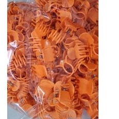 50 kẹp đại cố định hoa lan