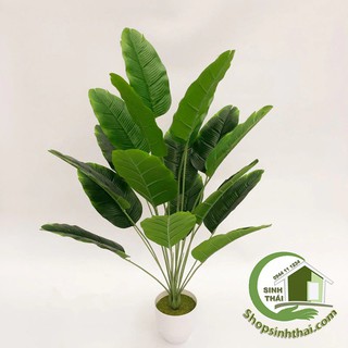 Bụi cây chuối màu xanh - bụi lớn cao 65cm - cây giả cao cấp