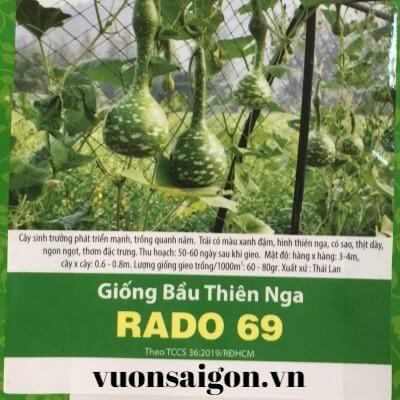 Hạt giống bầu thiên nga RADO 69 (5 hạt) (Vườn Sài Gòn - Vuon Sai Gon)