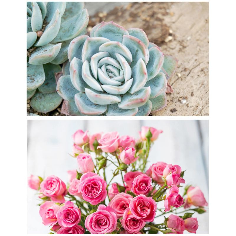 Đèn Led Kích Thích Tăng Trưởng Cho Cây Trồng Ac 220v 50w