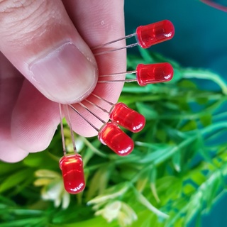 [COMBO 50 Led] Led 5MM Phủ Đỏ - Led phi 5 báo nguồn
