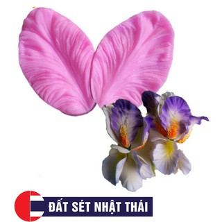 Gân lan catleya, phong lan - gân làm hoa đất sét, hoa đường, xôi hoa đậu
