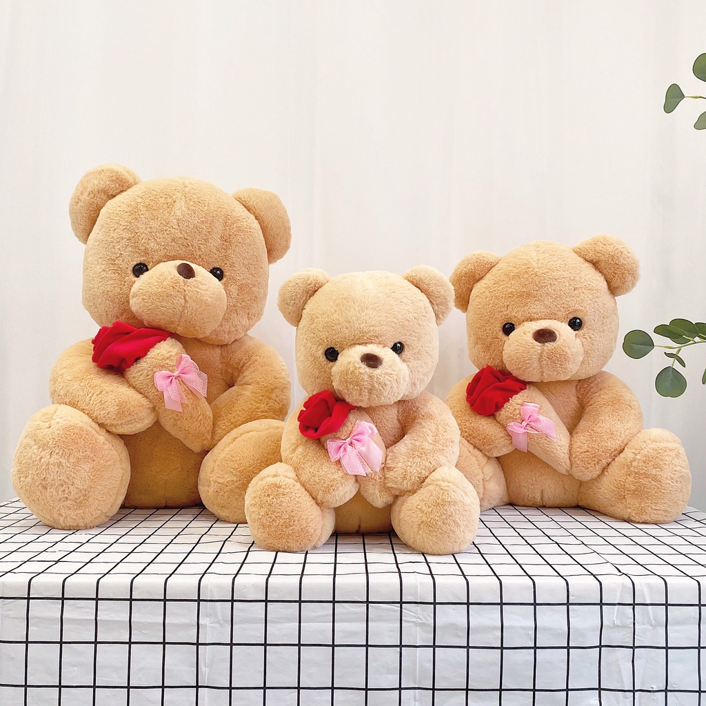Gấu Bông Teddy Ôm Hoa Đáng Yêu Quà Tặng Dễ Thương Gấu Bông Online