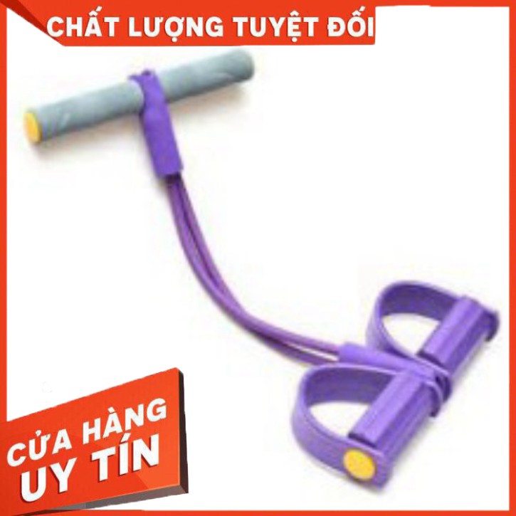 Dụng Cụ Tập Gym, Tập Cơ Bụng Tại Nhà, Kéo Tay Tummy Trimmer Dây Cao Su - VietShop