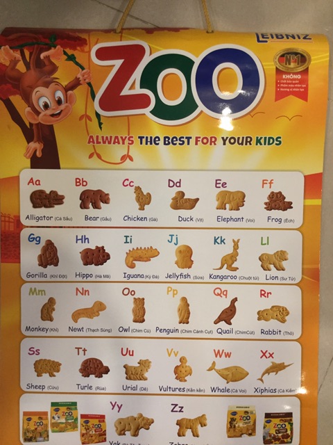 Bánh ăn dặm hình thú Zoo