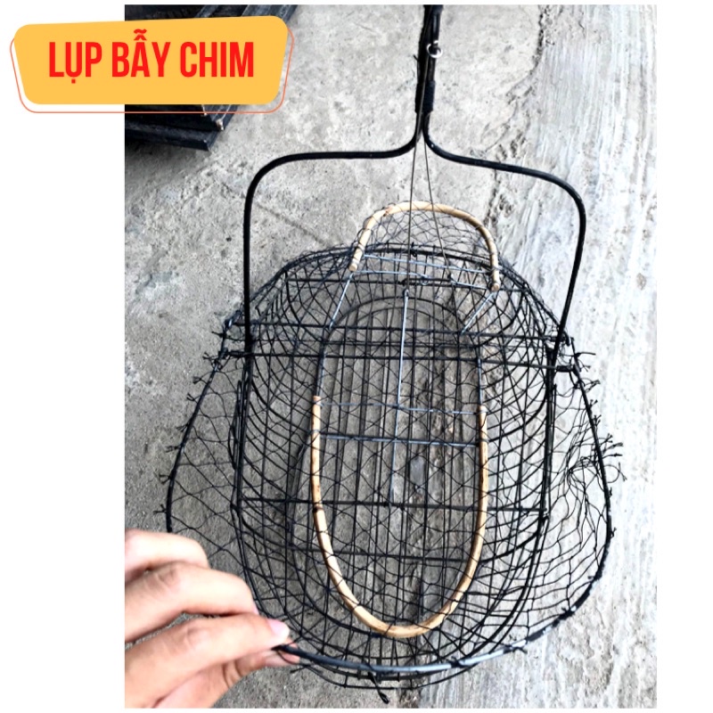 .Lụp Kẽm Đen Bẫy Choè Than Chào Mào Bông Lau Lồng Bẫy chim Các Loại