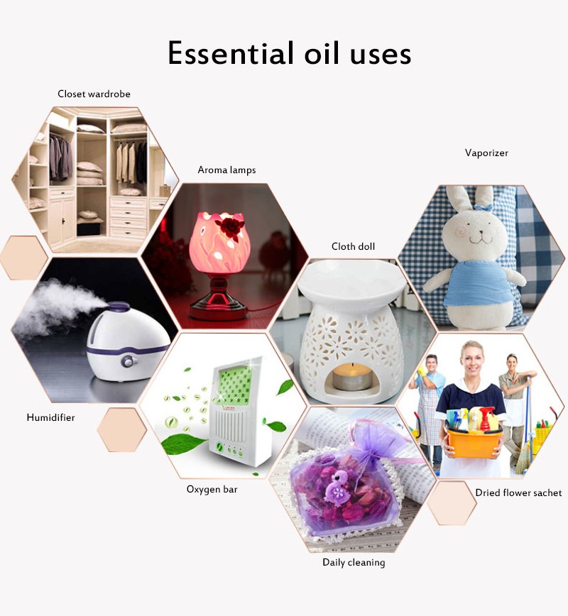 (Hàng Mới Về) Set 6 Lọ Tinh Dầu Làm Ẩm Không Khí 3ml | BigBuy360 - bigbuy360.vn
